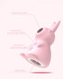 Kissing Bunny